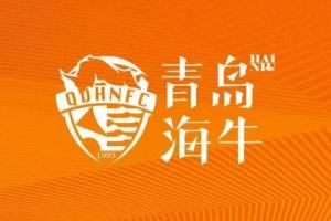 青岛海牛5月最佳球员候选：刘军帅、尼古拉、席尔瓦、冯伯元