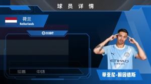 买了个前锋😂😂7000万赖因德斯集锦来了！米兰球迷介绍介绍？